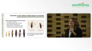 Practical strategies for thrips control  Ashley Summerfield [upl. by Pappano]