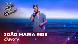 João Maria Reis  “Gaivota”  Provas Cegas  The Voice Portugal 2023 [upl. by Hildegarde942]