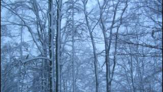 Wandern Franken Neunkirchen mit Schneeschuhwanderung zur Wurzhütte und Lindelberg [upl. by Newfeld742]