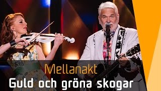 Hasse Andersson – Guld och gröna skogar  Melodifestivalen 2016 [upl. by Musetta]