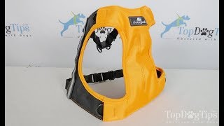 Sleepypod Clickit Terrain Dog Harness Review 2018 [upl. by Hilten]