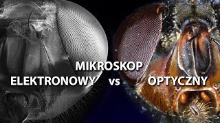 Mikroskop ELEKTRONOWY vs OPTYCZNY [upl. by Rumpf]