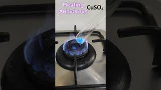 Heating Hydrated Copper Sulphate  Class 10  shorts [upl. by Euk]