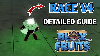 Mink Race V4 Guide In Blox Fruits 2024  How to Get Rabbit Race V4 In Blox Fruits Full Guide [upl. by Airlia]