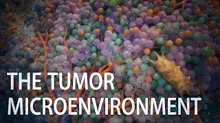 A closer look at the tumor microenvironment  tumor animation  tumor growth  cancer immunotherapy [upl. by Fusco]