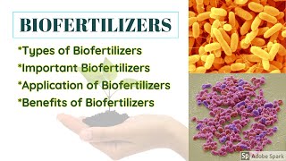 Biofertilizers [upl. by Ketchan]