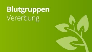 Blutgruppen AB0 und Rhesusfaktor und ihre Vererbung  Biologie  Genetik und Entwicklungsbiologie [upl. by Ahtivak928]