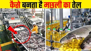 How Fish Oil Is Extracted [upl. by Opportina]