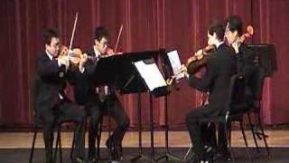 Puccini O Mio Babbino for string quartet [upl. by Ayojal]