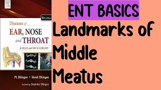 Landmarks of Middle meatus  Osteomeatal complex  Part 7  Nose [upl. by Dwyer]