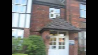 TaeKwonDo Martial Arts in Banstead  How to find out training hall [upl. by Ruffi]