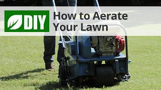 How to Core Aerate Your Lawn  Lawn Aeration Tips [upl. by Ludie]