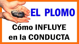 PLOMO Cómo AFECTA a la CONDUCTA de las persona ¿A qué EFECTOS NEGATIVOS SOBRE LA SALUD se asocia [upl. by Aelc176]