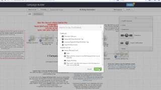 Infusionsofts Live Implementation Video for quotBirthday Remindersquot Campaign [upl. by Long557]