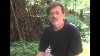 An overview of Novelty Theory Terence Mckenna [upl. by Anairb86]