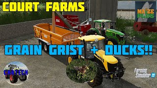 COURT FARMS  THE DUCKS ARRIVE  Ep 25  FS22 [upl. by Solley]