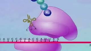 Pierre Capel over mRNA vaccins [upl. by Kylie]