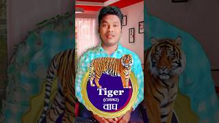 Animals 3  प्राणी ३  Tiger  Wolf  Musk Deer  वाघ  animals shorts viral tiger shortsviral [upl. by Ednew157]