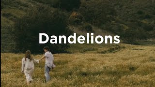 Dandelions  sped up Tiktok version [upl. by Juliano]