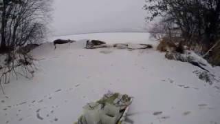 Day 2 Winter Raccoon Trapping Wisconsin [upl. by Atilrak]