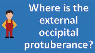 Where is the external occipital protuberance   Best Health FAQ Channel [upl. by Rebor]