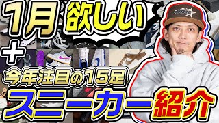 【スニーカー】1月に欲しいと思っているスニーカー今年注目モデル15足を紹介！！2024年1月月【ナイキアディダスコンバースニューバランス】 [upl. by Rajiv]