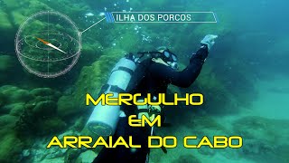 Mergulho em Arraial do Cabo [upl. by Helgeson]