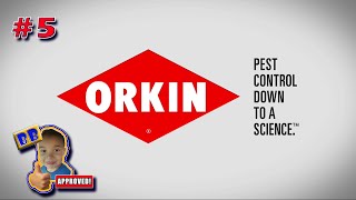 Orkin Pest Control Done Right 5 Orkin Man vs Spider Evo Skits Funny Videos 2021 [upl. by Dex]