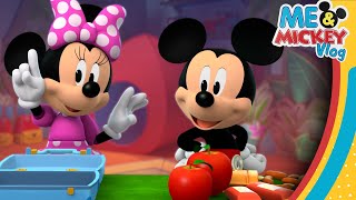 Help Mickey and Minnie Get Ready for A Camping Trip 🏕  Me amp Mickey  Vlog 66  disneyjr [upl. by Eeram921]