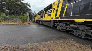 AR08 8 03 arriving at newstan colliery to turn around with C510 506 504 509 on 30 9 24 [upl. by Yekcir]