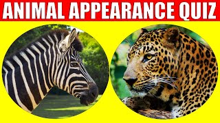 Animal Appearances Quiz  Quiz Game for Kids Preschoolers and Kindergarten [upl. by Behka]