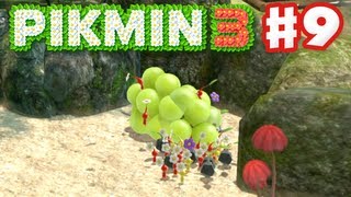 Pikmin 3  Day 9  Tropical Wilds Fruit Nintendo Wii U Gameplay Walkthrough [upl. by Gitt375]