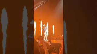 KOBA LA D AU CONCERT DE NISKA 🔥🔥 [upl. by Onairelav]