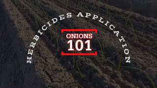 Onions 101  Herbicides [upl. by Gallenz]