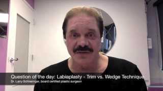 Labiaplasty Trim vs Wedge Technique  Dr Schlesinger Hawaii Vaginal Rejuvenation [upl. by Yoshiko]