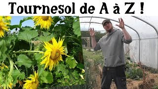 Le Tournesol de A à Z presque [upl. by Edra]