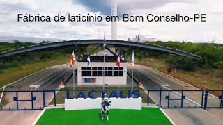 🐄 LACTALIS Bom ConselhoPE FABRICA [upl. by Kimberlyn]