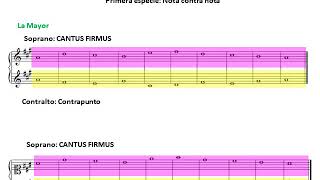 Ejercicio de contrapunto severo a dos voces 2 Primera especie Nota contra nota [upl. by Gaddi886]