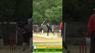 Stumps flying in Intense Cricket Game [upl. by Lyman895]