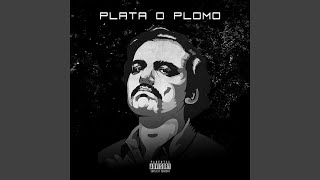 Plata O Plomo [upl. by Honora]