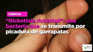 “Rickettsia rickettsii” una bacteria que se transmite por picadura de garrapatas [upl. by Edras]