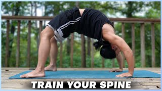 BODYWEIGHT BRIDGE Train Your Spine Reduce Back Pain Boost Athleticism [upl. by Magda]