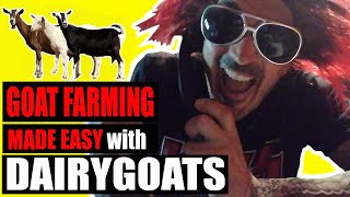 Learn about Dairygoats [upl. by Ajiak42]