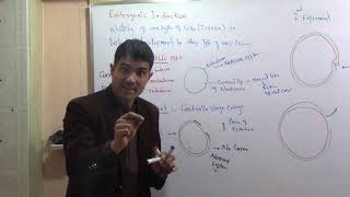 L7 Embryonic induction with spemann experiments in Urdu language by Dr Hadi [upl. by Haley725]