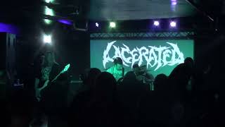 Lacerated live at HQ Denver [upl. by Gem]