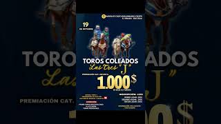 La unión de ganadero UGAVE los invitamos a una tarde de toros coleadosmusica caballos [upl. by Lrat54]