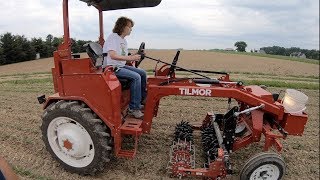 New Organic and Hobby Farm Tractor Tilmor  Modern AllisChalmers G [upl. by Aniuqal825]