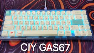 Glorious Panda Tactile Switch w GAS67 [upl. by Ynattirb69]