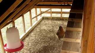 Chicken coop tractor updates [upl. by Craggie]