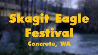 Skagit Eagle Festival in Concrete WA January 2018 [upl. by Papp]